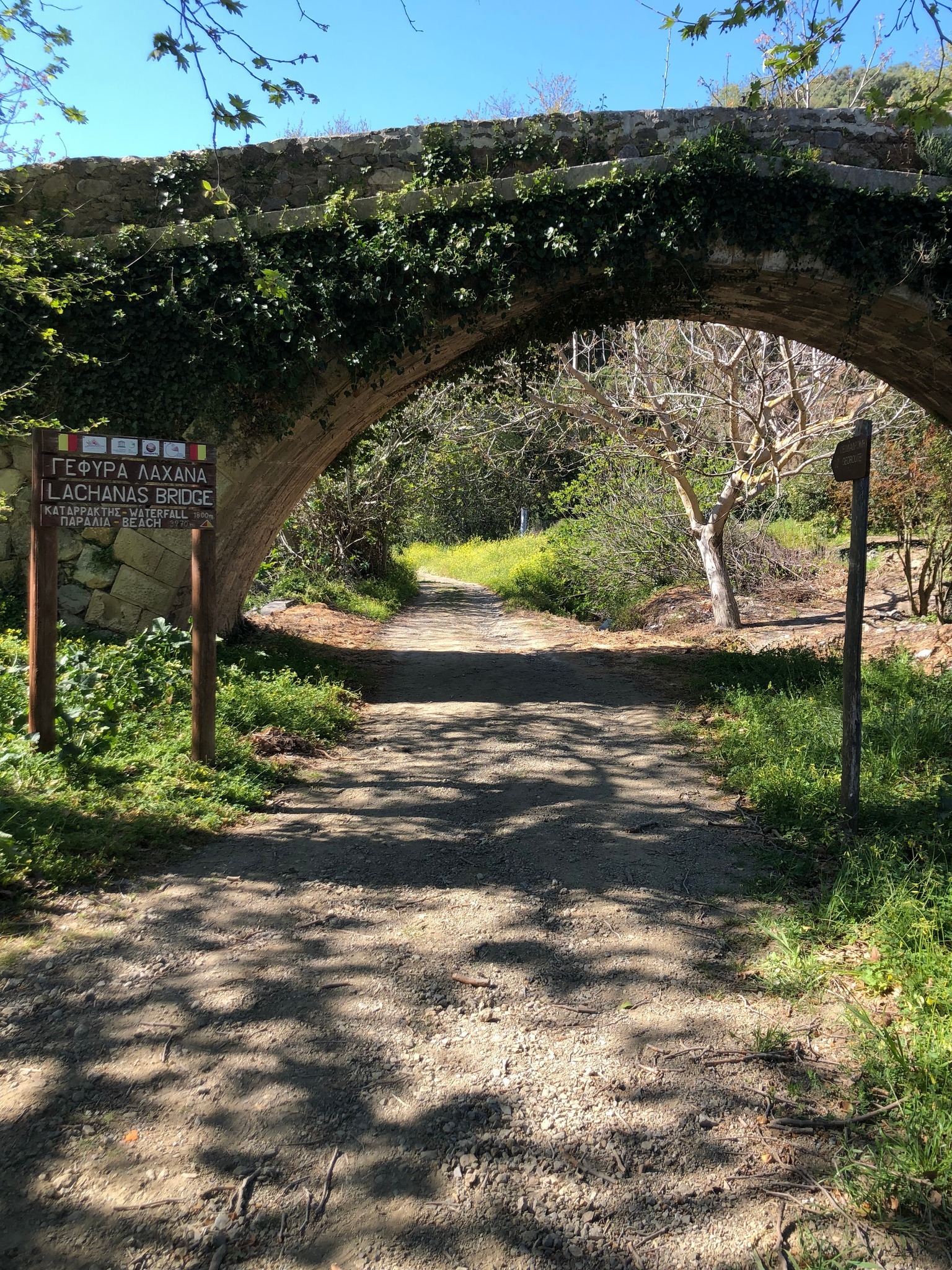 From Elounda: Small Group Land Rover Adventure to Richtis Waterfall, History, Azoria Olive Tree – 1152865