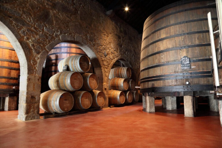 From Elounda: Private Tour | Knossos Palace, Winery Visit and Lunch at Peza Village – 856296