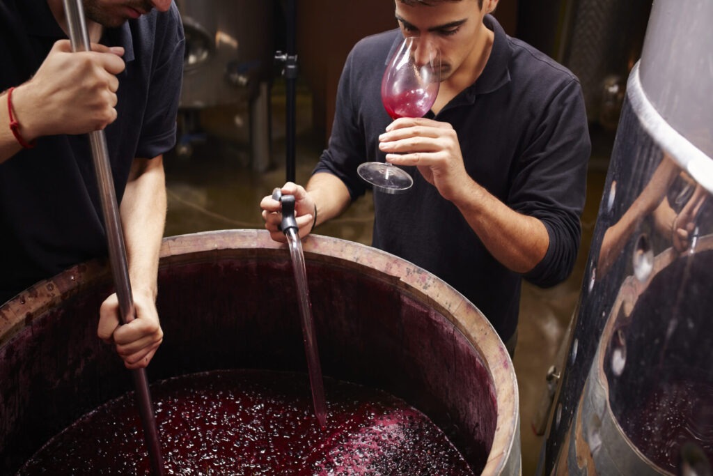From Elouna Private Wine Tour at Peza Valley visiting 2 Wineries with wine tastings and Lunch at Peza Village – 1162385