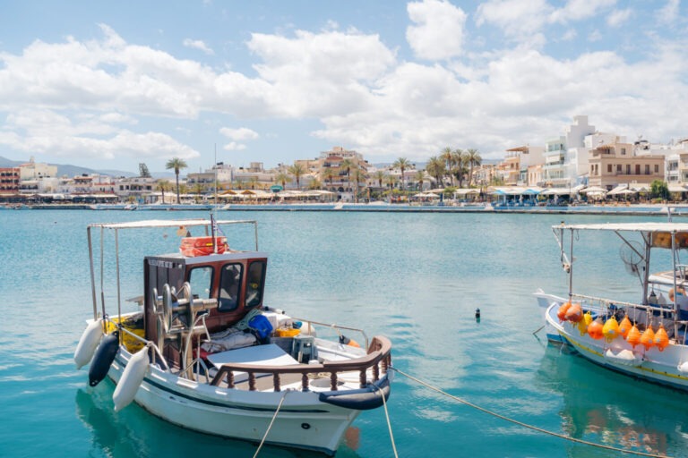 From Elounda: Private Tour | Discover Vai Beach, Ancient Itanos, Toplou Monastery – Private Tour, Lunch, & Sitia City Stroll – 851263